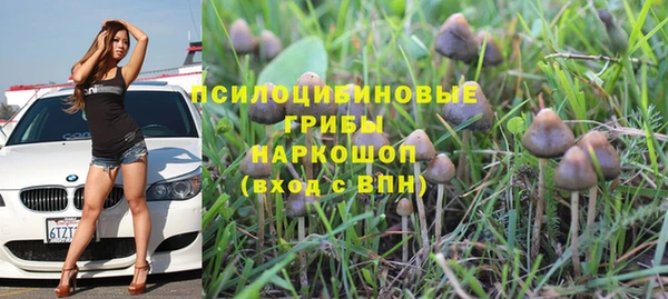 2c-b Беломорск