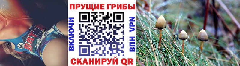 цены наркотик  kraken ссылки  Галлюциногенные грибы Cubensis  Юрьевец 